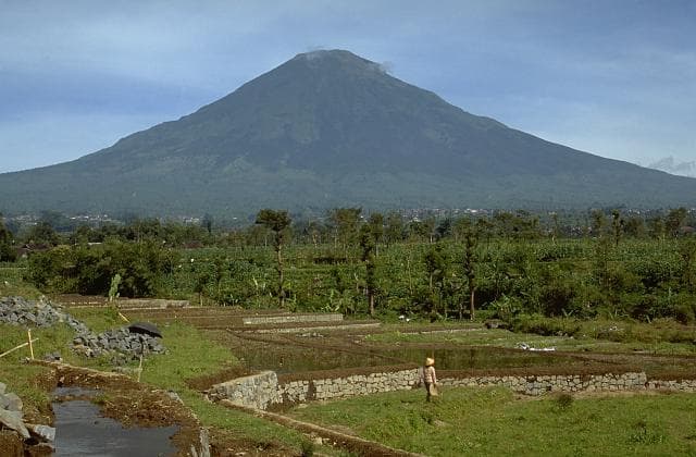 Gunung Sindoro